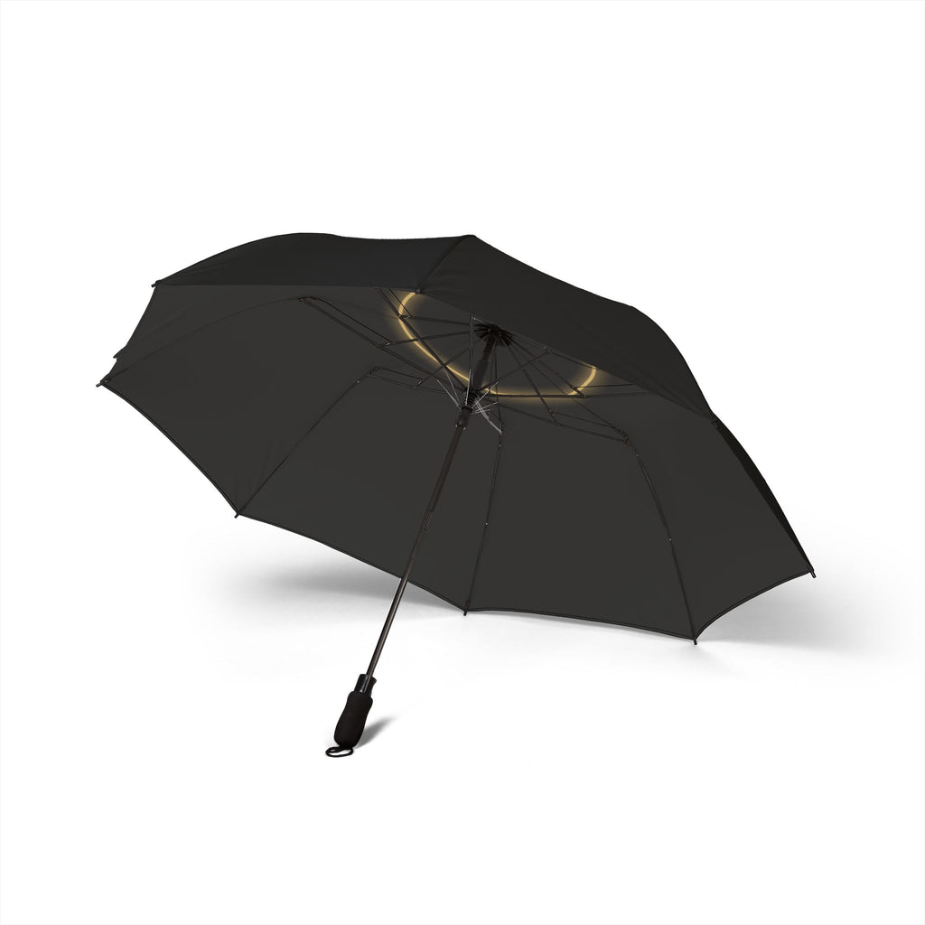 The Radziwiłł eclipse umbrella, underside with eight ribs